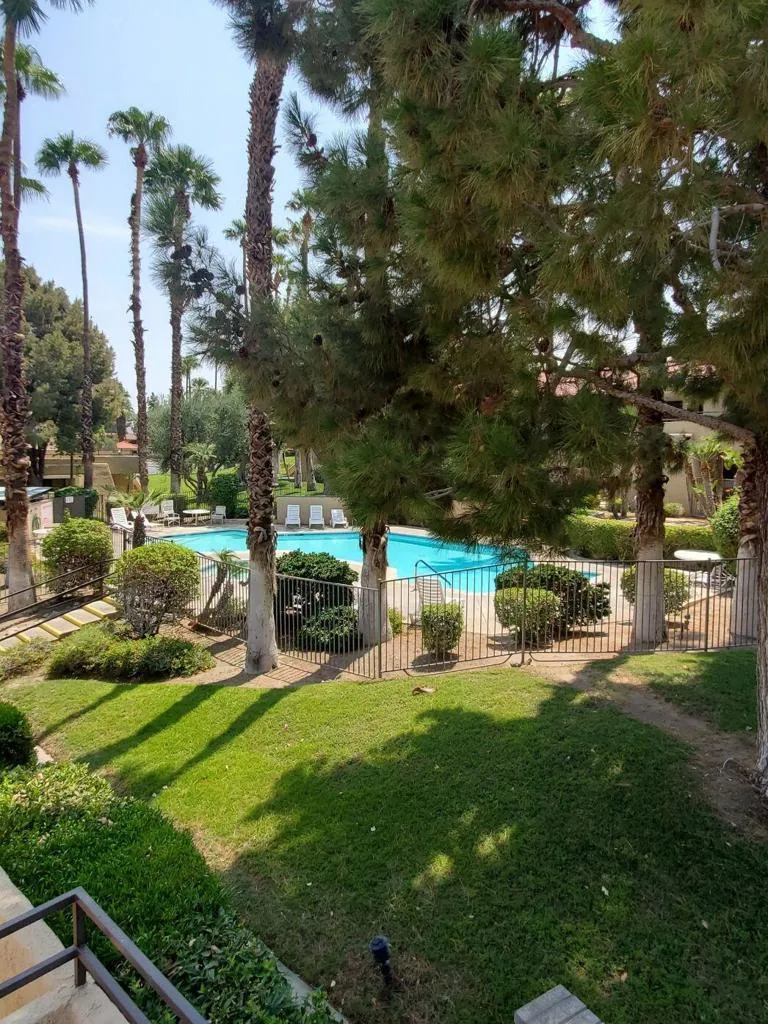 condo 200 pool 1