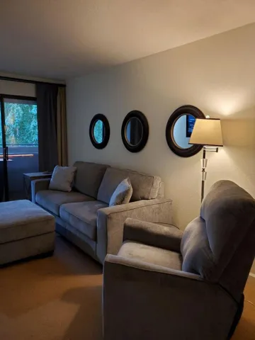 unit 214 living room new