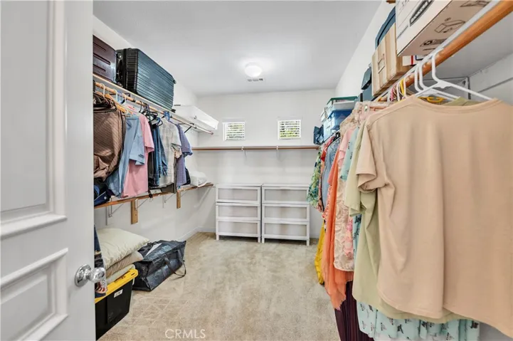 Primary Walk In Closet With Windows