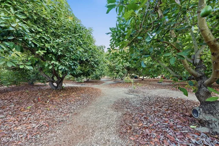 69-web-or-mls-280CummingsRdStills_069