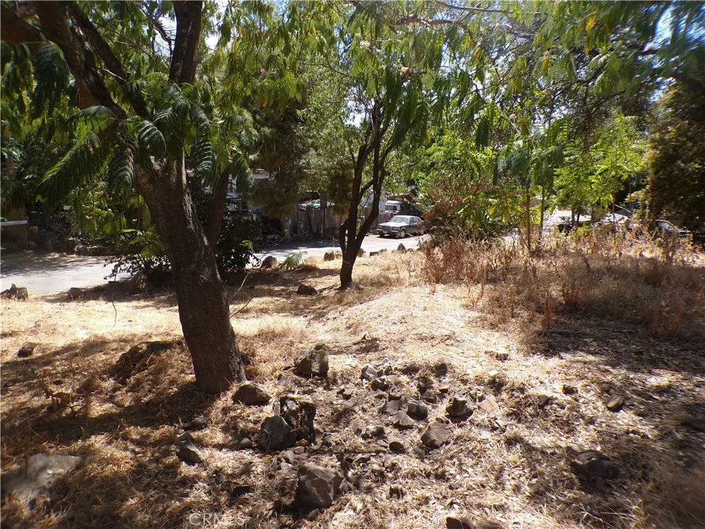 14176 Lupoyoma Street, Clearlake, California 95422 — photo 4