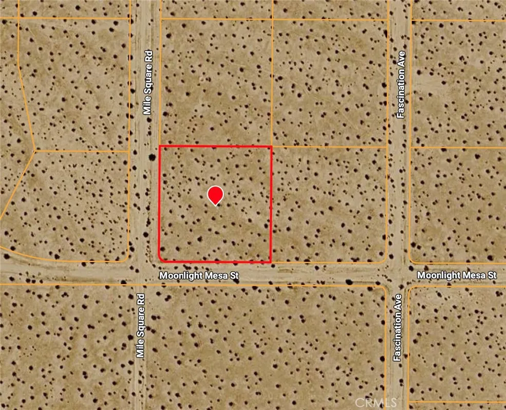 55 Mile Square Road, Joshua Tree, California 92252 — photo 4