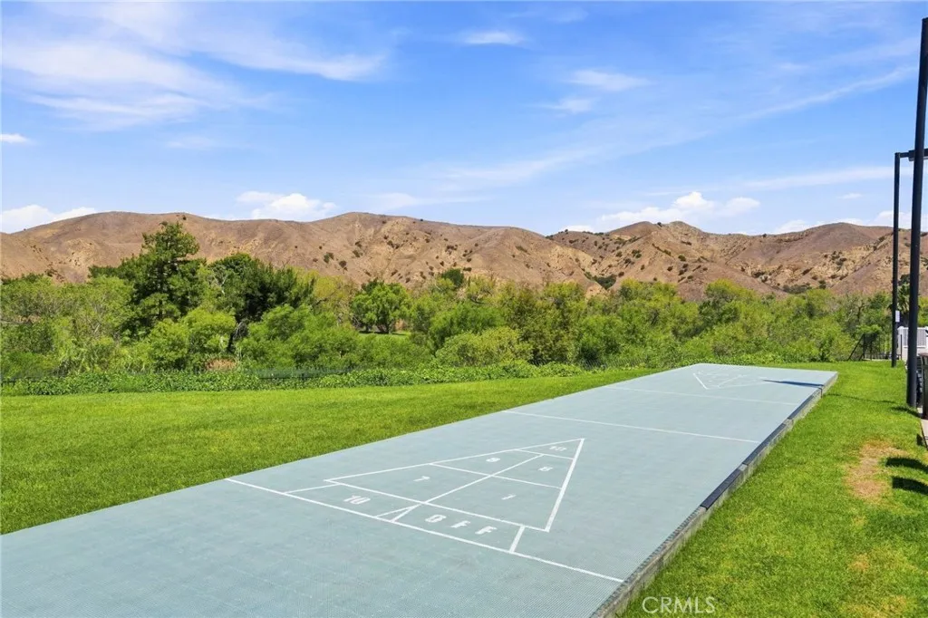 Community Shuffleboard Court Community Shuffleboard Court