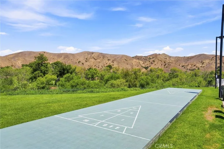 Community Shuffleboard Court