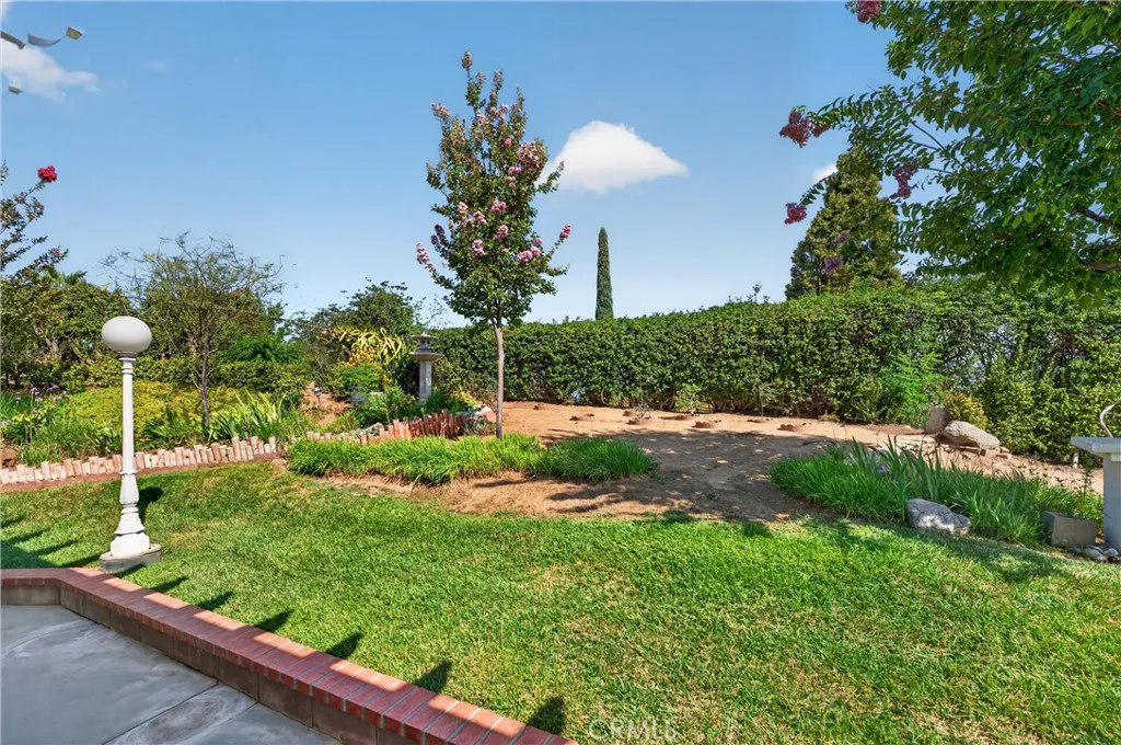 More Grassy Area