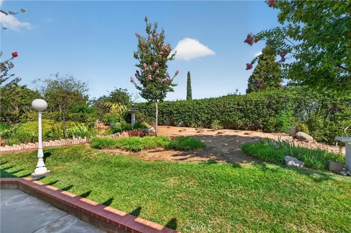 More Grassy Area
