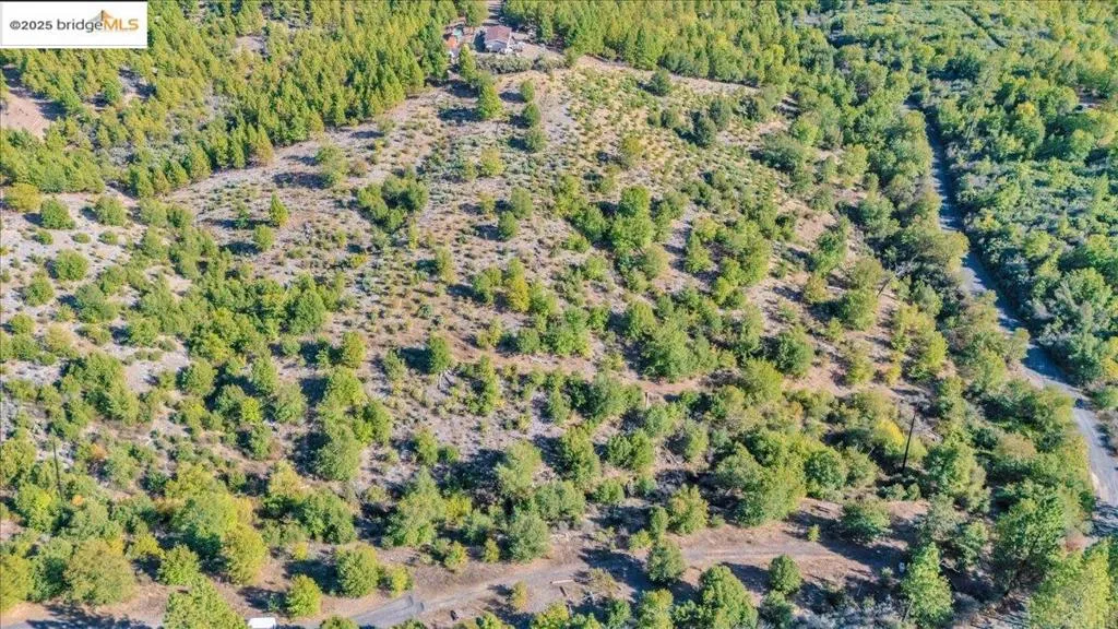 00 Jackass Creek Rd, Groveland, California 95321 — photo 5