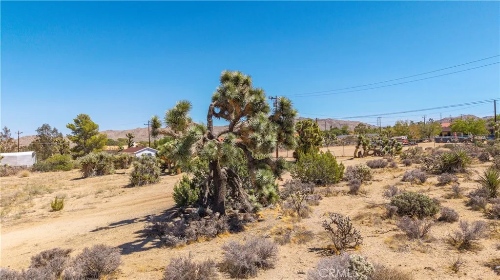 58323 Lisbon Drive, Yucca Valley, California 92284 — photo 5