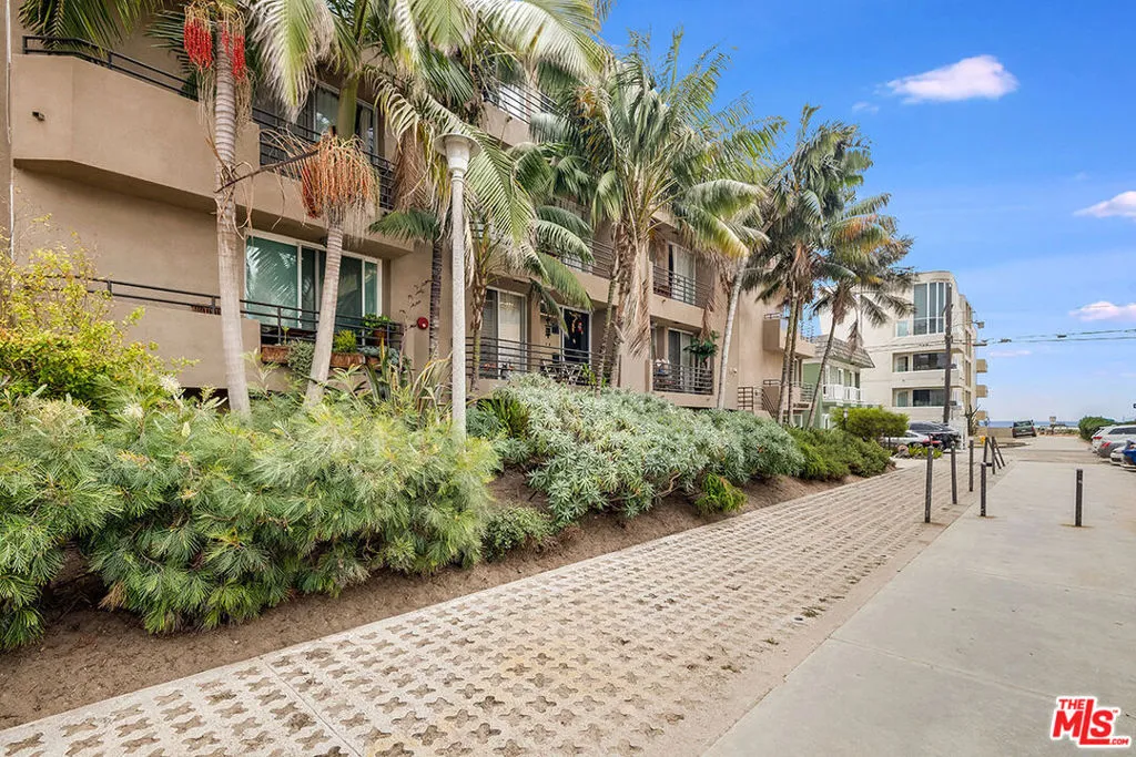 palm trees, beach living