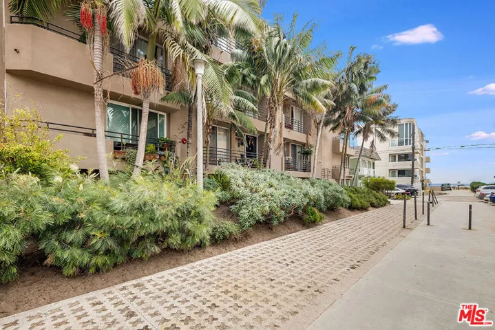 palm trees, beach living