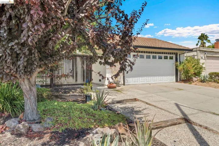 2908 Pear St, Antioch, California 94509-0000 — photo 5