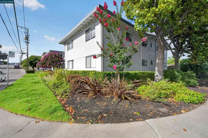 1465 Mt Pisgah Rd, Walnut Creek, California 94596 — photo 5