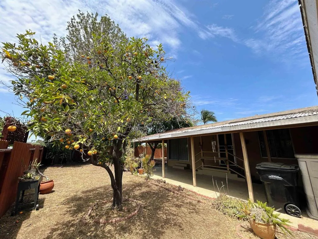 Side Yard