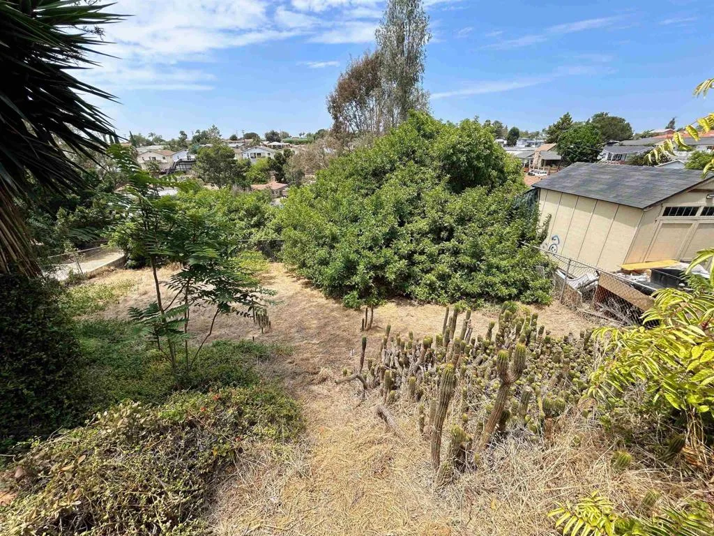Bonus Yard!
