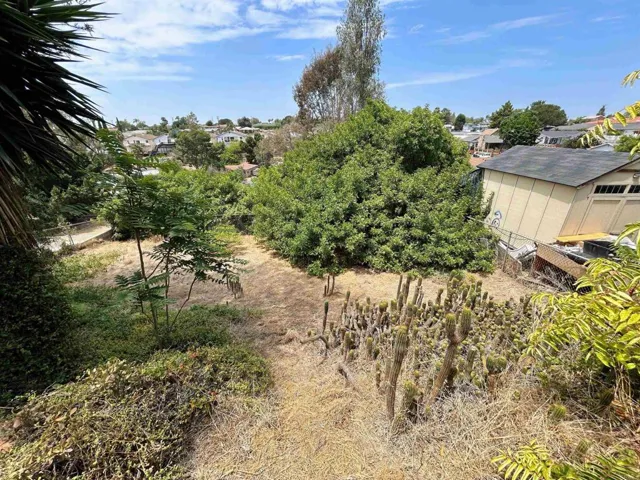 Bonus Yard!