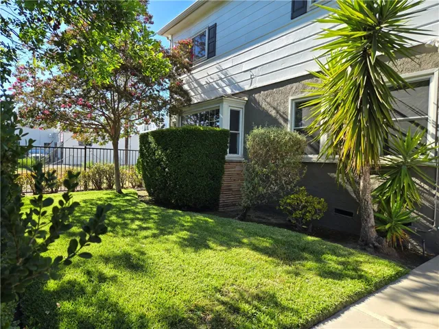 Grassy front yard