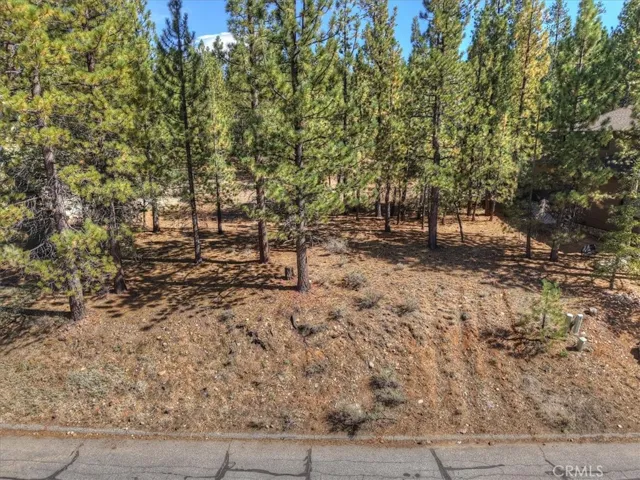 0 Evergreen Drive, Big Bear Lake, California 92315 — photo 5