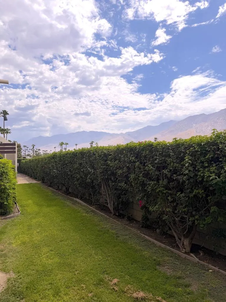 Back Matured landscape