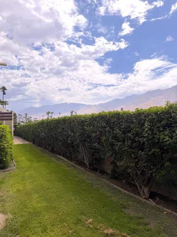 Back Matured landscape
