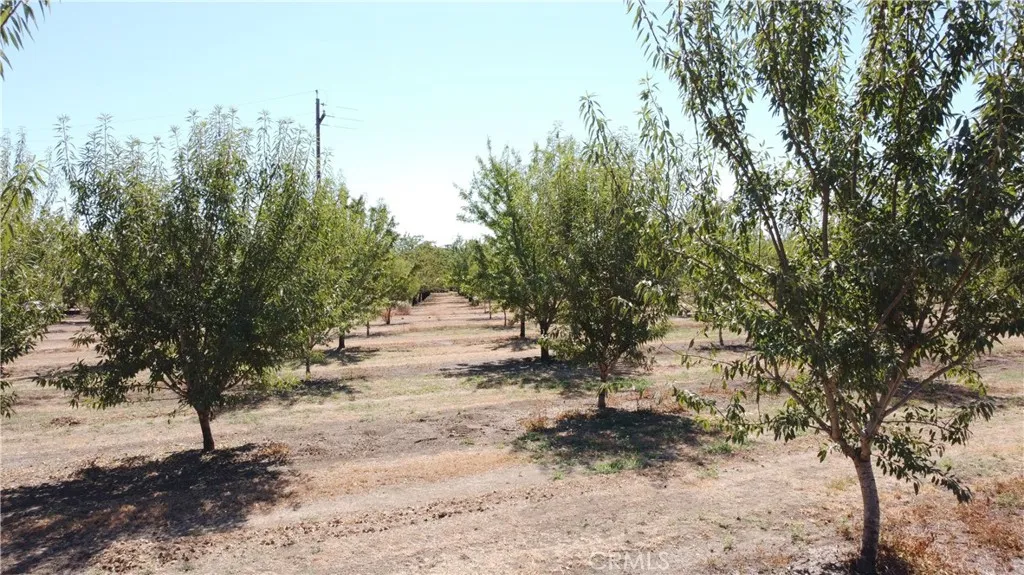 0 Dayton West Road, Dayton, California 95938 — photo 4