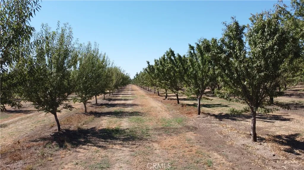 0 Dayton West Road, Dayton, California 95938 — photo 5