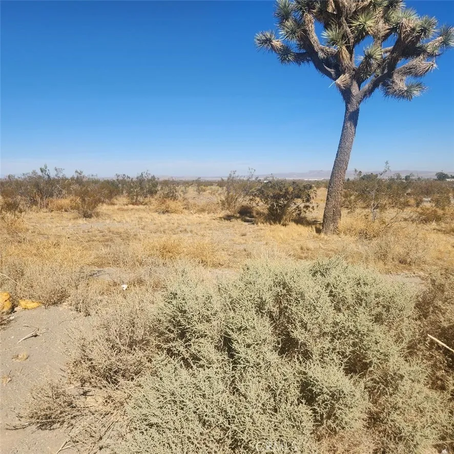 20 Palmdale Road, Pinon Hills, California 92372 — photo 4