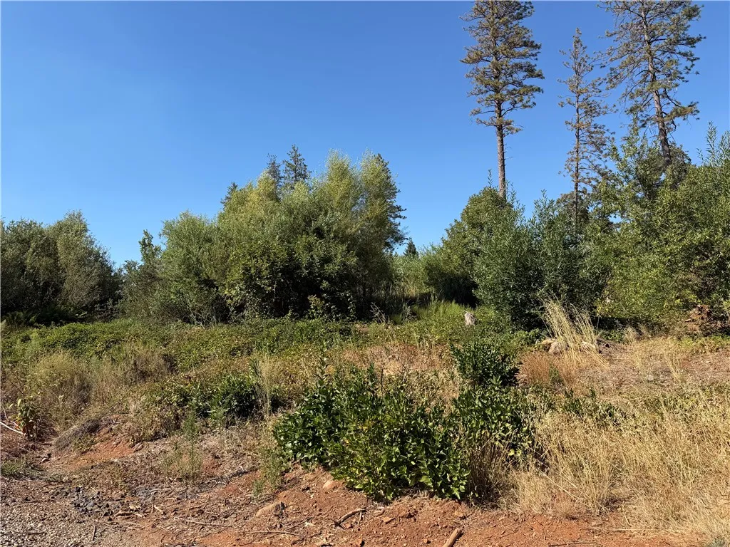 0 Demille, Paradise, California 95969 — photo 4