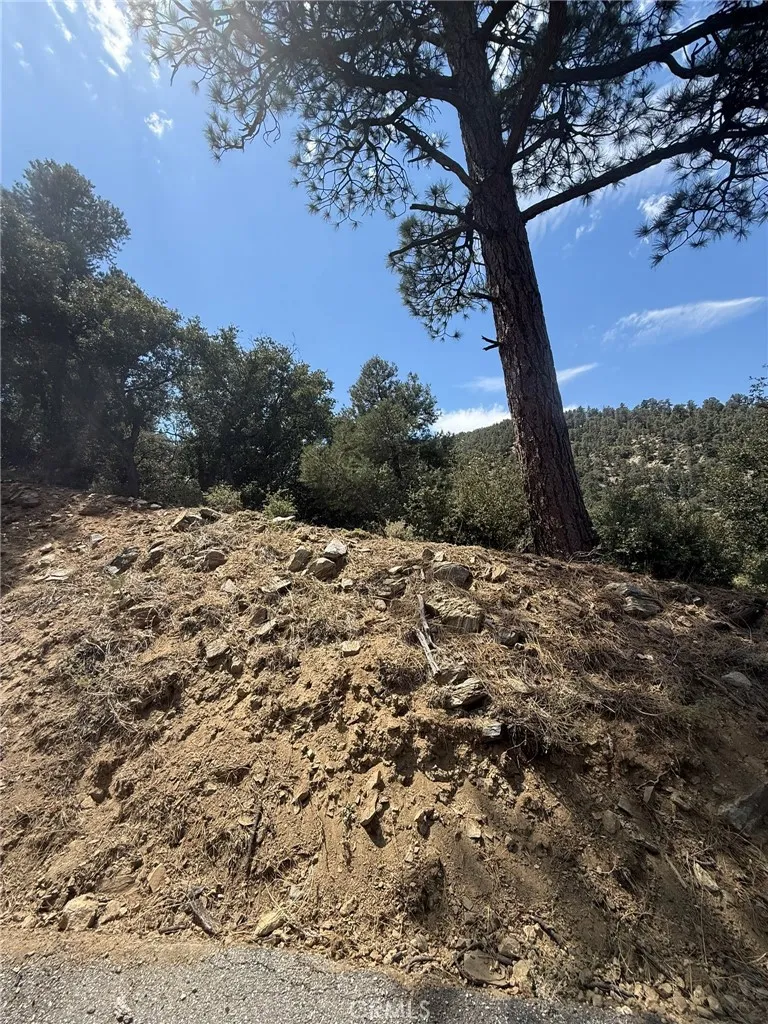1525 Banff, Pine Mountain Club, California 93222 — photo 4