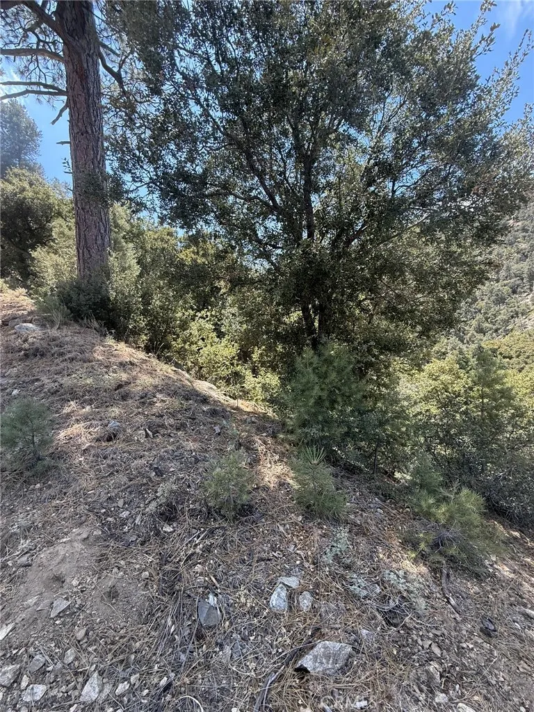 1525 Banff, Pine Mountain Club, California 93222 — photo 5