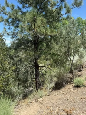 1824 Pioneer Way, Pine Mountain Club, California 93222 — photo 4