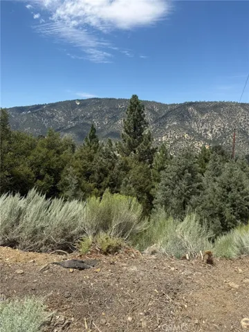 1824 Pioneer Way, Pine Mountain Club, California 93222 — photo 5