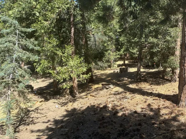 0 Acorn Lane, Idyllwild, California 92549 — photo 4