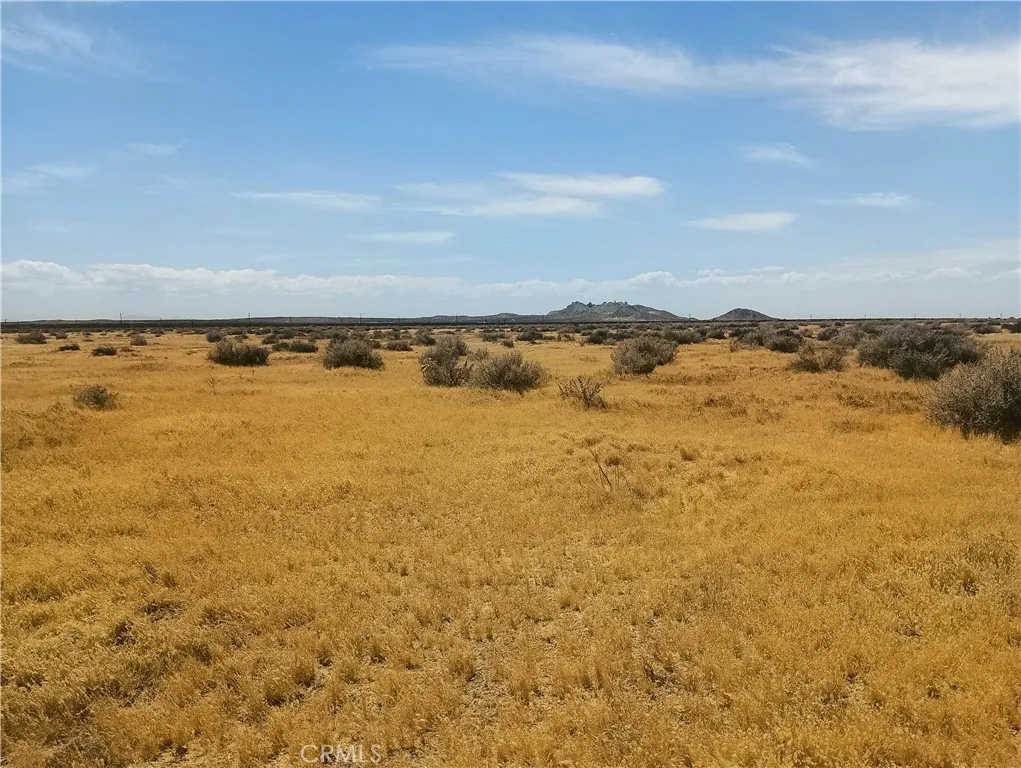 125 Old Hwy 58 (near), Boron, California 93516 — photo 5
