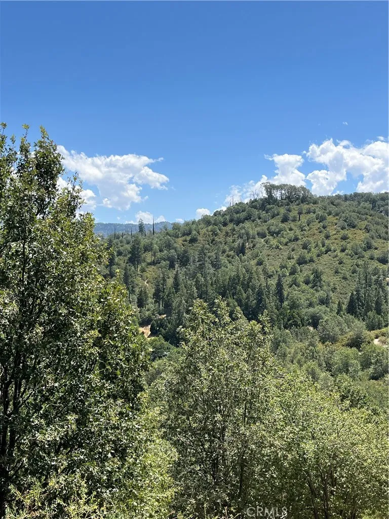 0 Hill Drive, Cedar Glen, California 92321 — photo 4