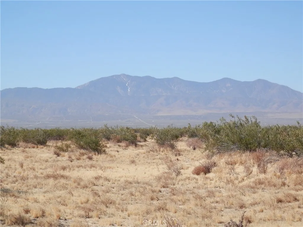 0 Gaceta Avenue, Black Butte, California 93591 — photo 4