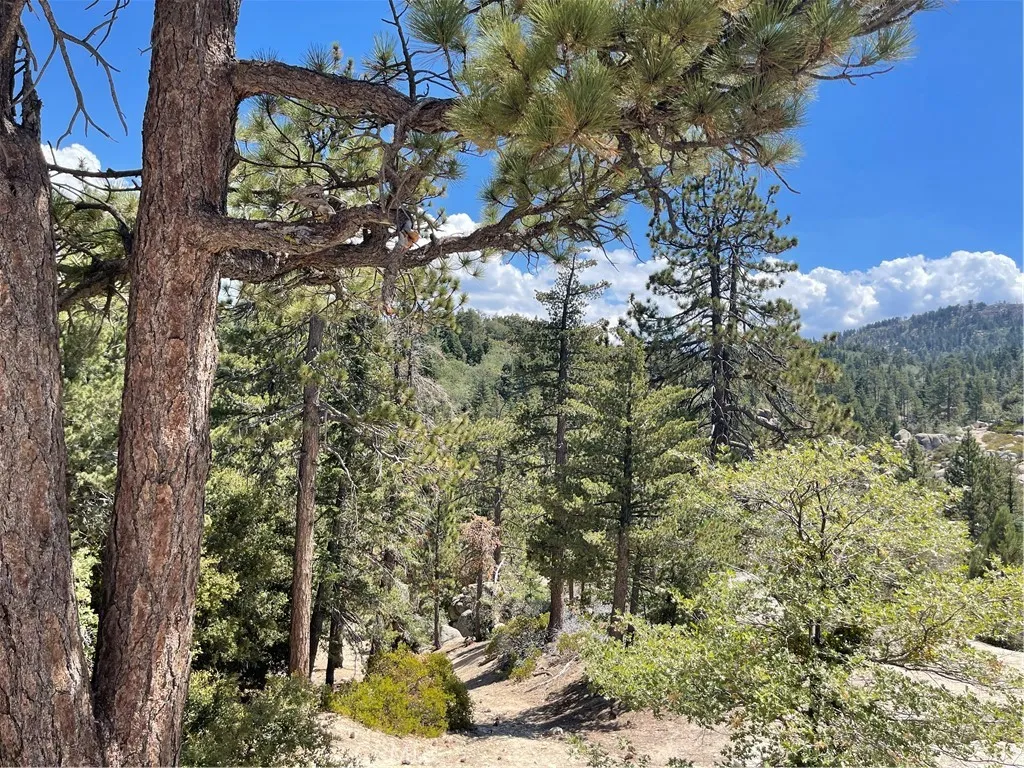 0 Arrowbear, Running Springs, California 92382 — photo 4