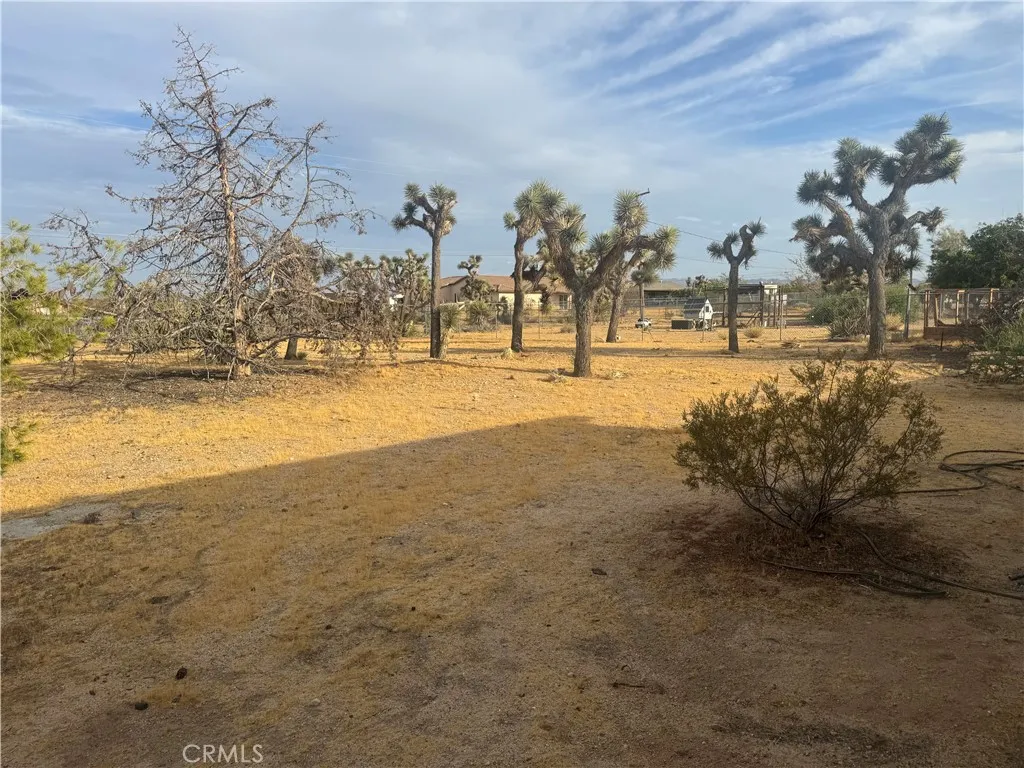 3601 Balsa, Yucca Valley, California 92284 — photo 5