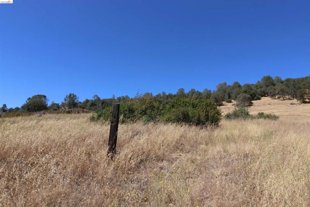 781 Gelding, Angels Camp, California 95222 — photo 4