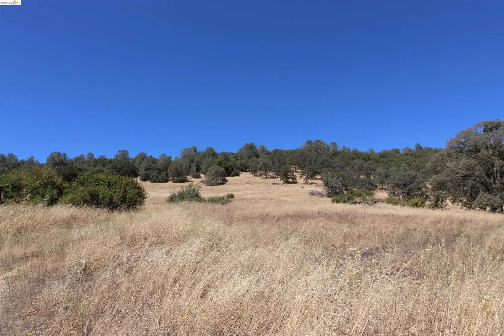 781 Gelding, Angels Camp, California 95222 — photo 5
