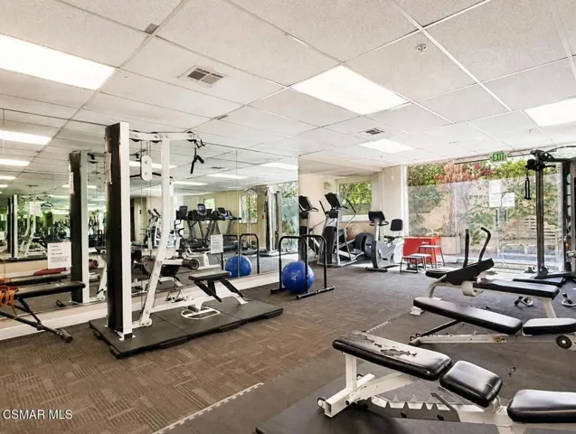 Gym 1
