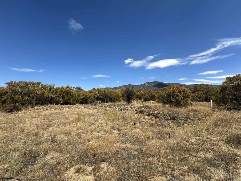 54174 Mdw Vly Lane, Anza, California 92539 — photo 5