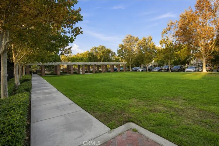 Park #1