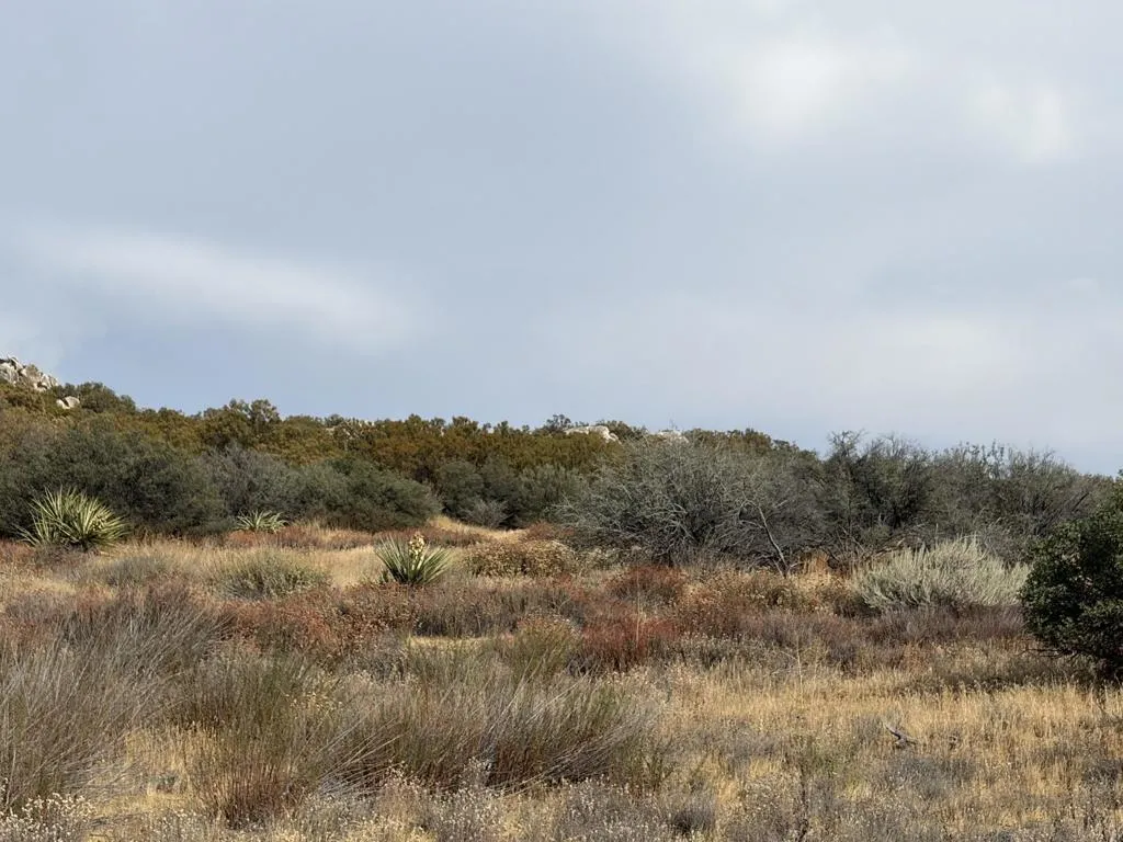0 Kgkj Ranch Road, Anza, California 92539 — photo 5