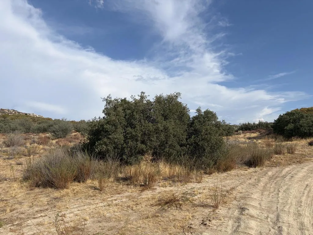 0 Kgkj Ranch Road, Anza, California 92539 — photo 4