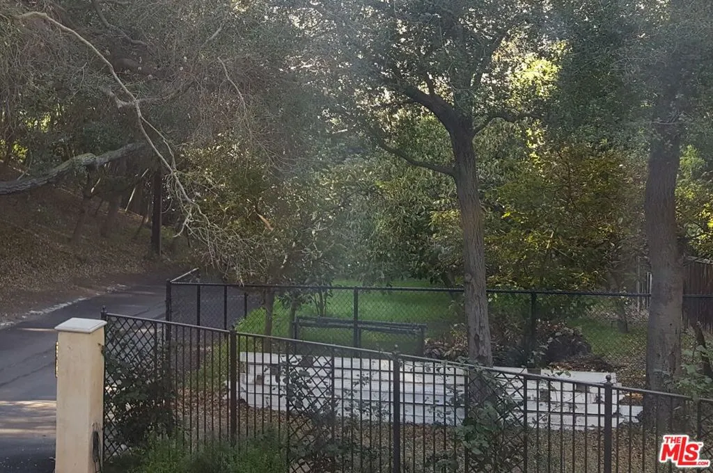 View from Living Room