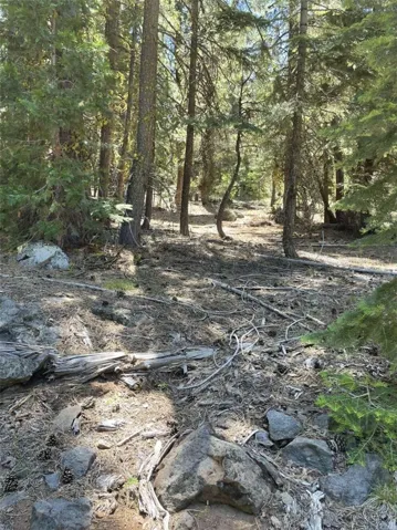 0 Range Road, Alturas, California 96101 — photo 4