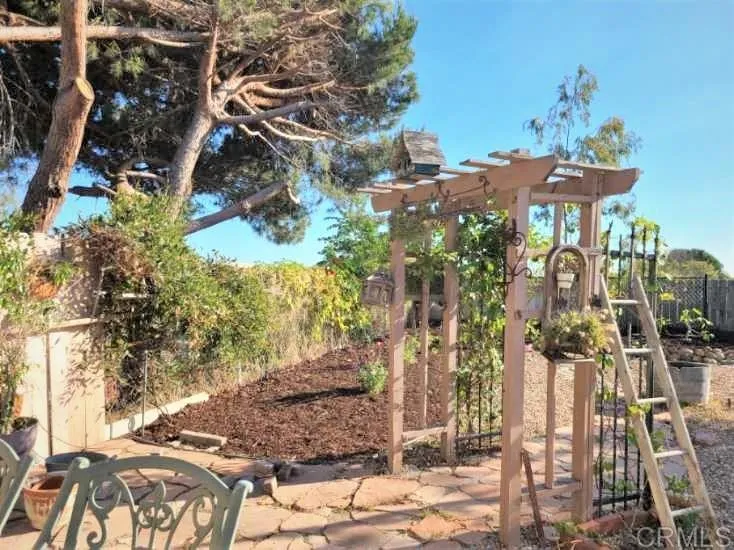 Backyard Backyard