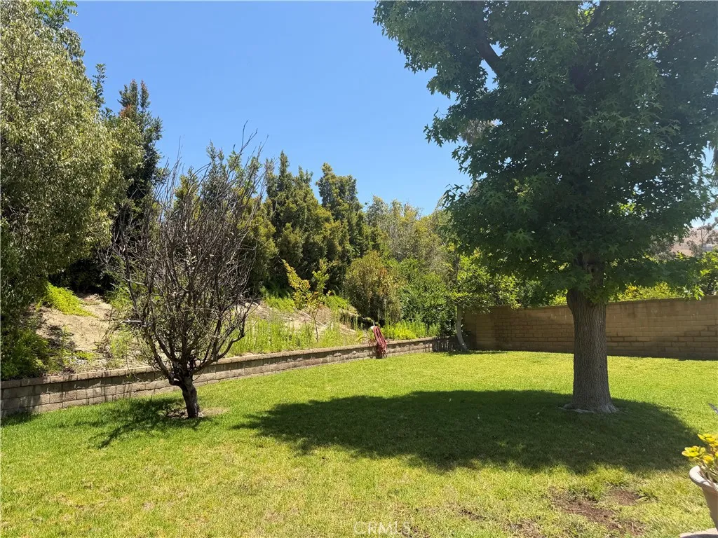 View from the edge of the patio looking toward far right corner of the yard with several fruit and shade trees.