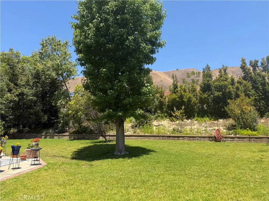 Right side yard showing the corner of the patio.