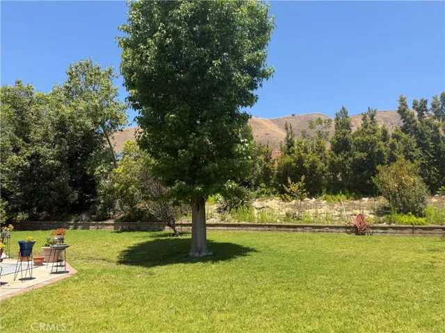 Right side yard showing the corner of the patio.
